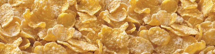 Frosted Flakes bowl
