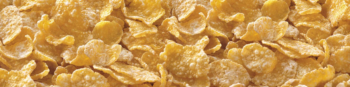 Frosted Cereal | Frosted Flakes Flavors® | Kellogg's Frosted